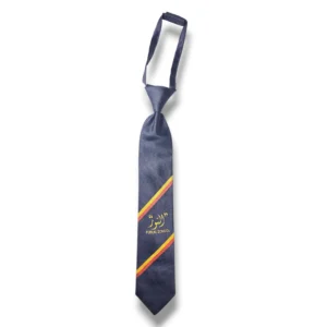 Al Noor Public School Tie Front View
