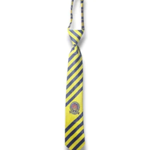 AZM School & College Tie Front View