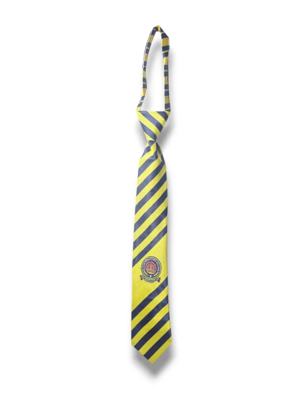 AZM School & College Tie Front View