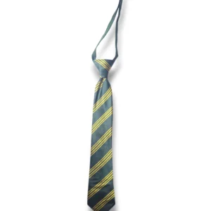 APS School Tie for official APS uniform