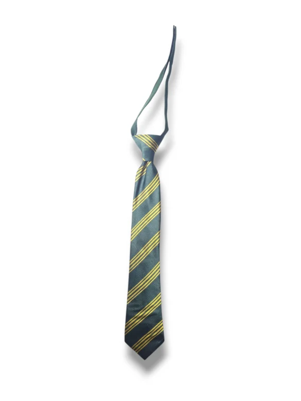 APS School Tie for official APS uniform
