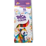 Artist using Bahadur Trica Color Pencils for creative drawings