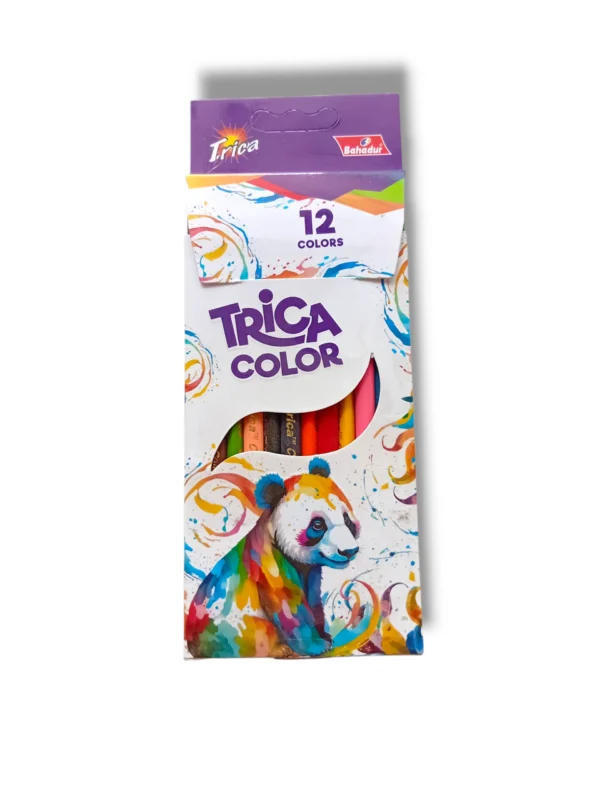 Artist using Bahadur Trica Color Pencils for creative drawings