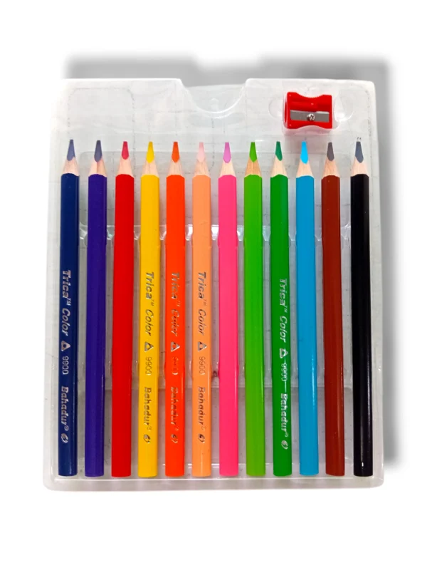 Bahadur Trica Jumbo Color Pencils pack for sketching and school art projects