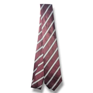 Cantonment Public Education System Tie Front View
