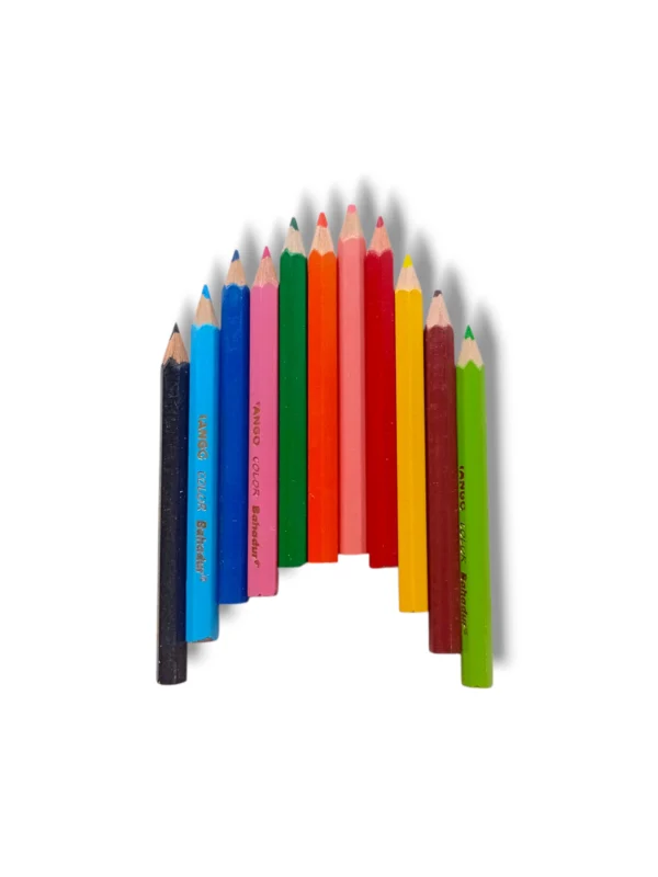 Artist coloring with Bahadur Tango Mini Color Pencils