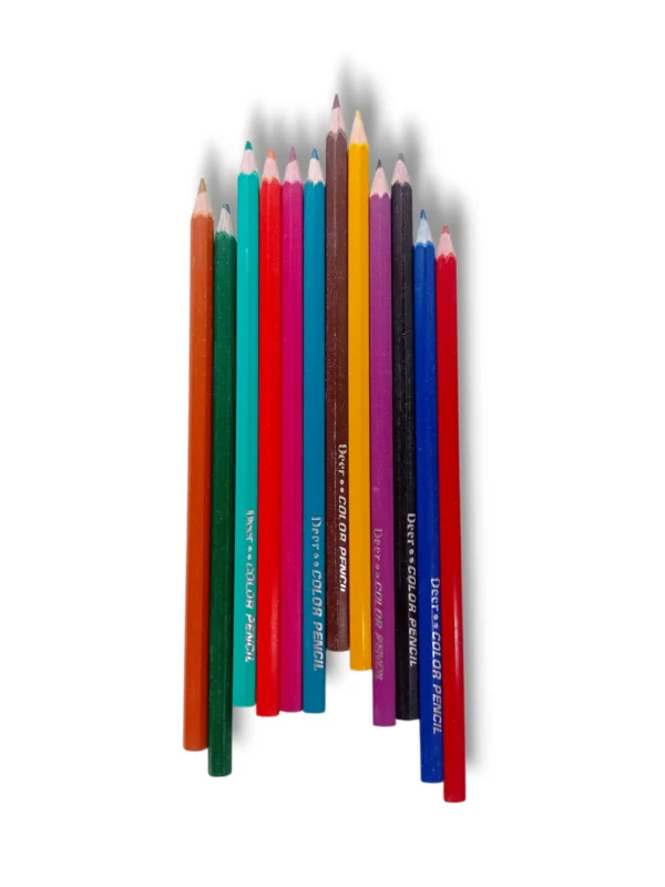 Artist using Deer Color Pencils 100-12 PC for drawing