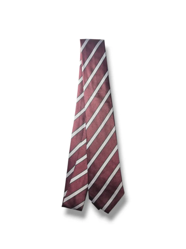 Cantonment Public Education System Tie Front View