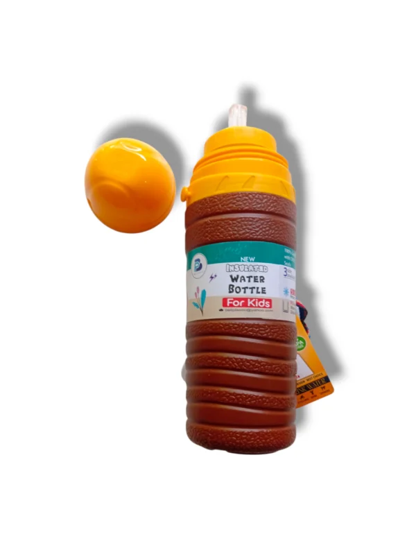 Fresh & Cool Water Bottle B-1008 for Gym and Travel