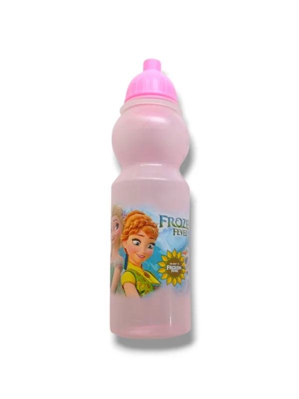 Frozen Water Bottle Sippy BPA-Free Leakproof Kids Bottle