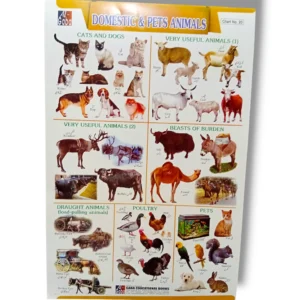 Domestic & Pet Animals Chart 20 with colorful animal illustrations