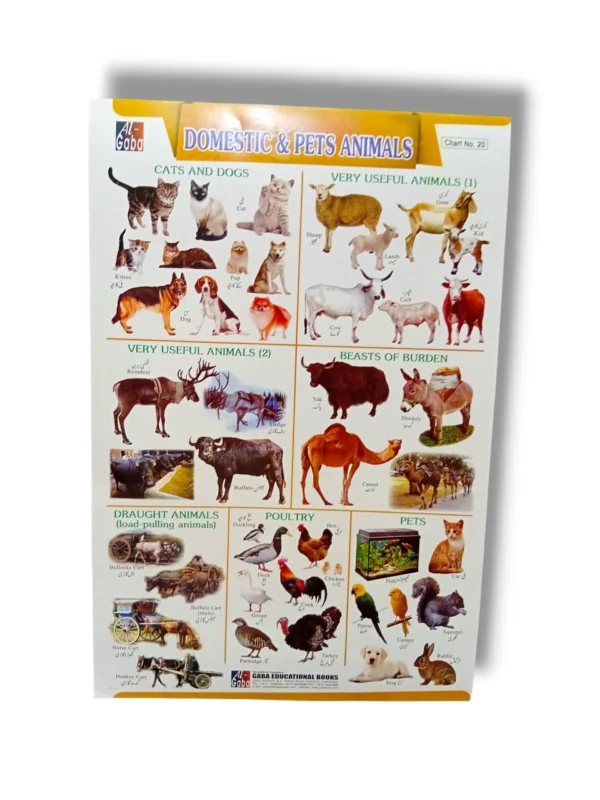 Domestic & Pet Animals Chart 20 with colorful animal illustrations