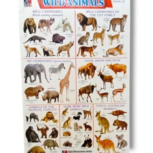 Wild Animals Chart 19 Educational Poster for Kids