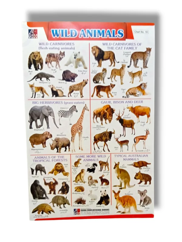 Wild Animals Chart 19 Educational Poster for Kids