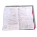 Inside pages of Daily Attendance Register with columns