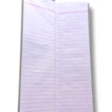 Inside view of Day Book 3840 notebook pages