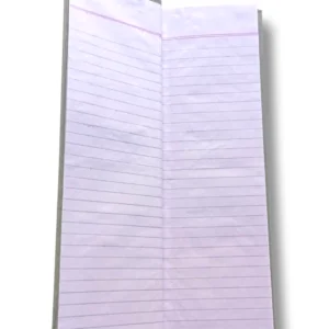 Inside view of Day Book 3840 notebook pages