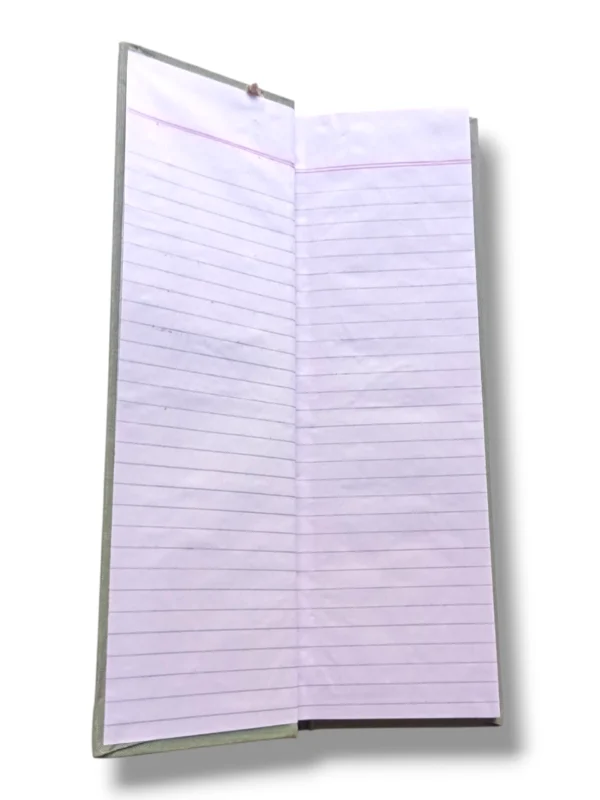 Inside view of Day Book 3840 notebook pages