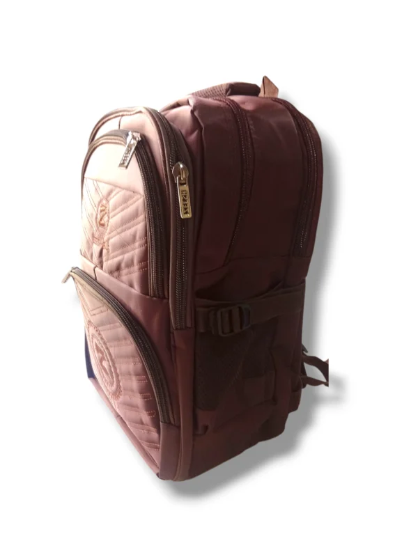 Stylish School Bag Zeesh Logo with spacious design