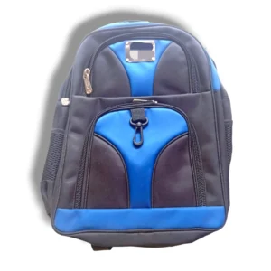 Stylish and spacious school bag for students
