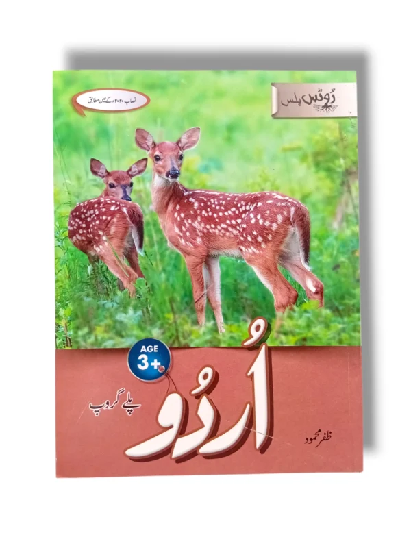 Kids learning Urdu at Gohar Roots Plus Urdu Playgroup