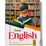 Spark English 6 Advanced Grammar and Writing Book