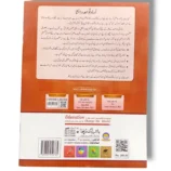 Student learning advanced Urdu grammar from Spark Urdu Qawaid o Insha 2