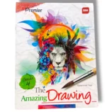 Premier The Drawing Amazing 4 full kit with case