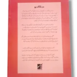 Inside pages of NCE New Maze Urdu Copy Series Kindergarten