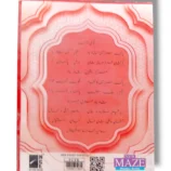 Child using NCE Maze Phonics Series Kindergarten workbook