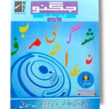 NCE Maze Urdu Series Playgroup book cover for toddlers