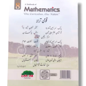 Student learning with Cantab Super Economy Mathematics 8