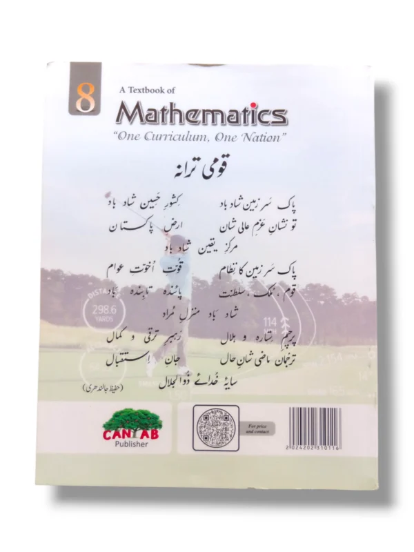 Student learning with Cantab Super Economy Mathematics 8