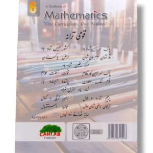Student using Cantab Super Economy Mathematics 6