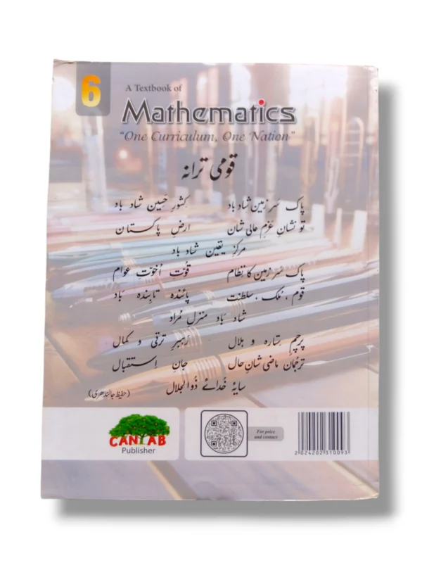 Student using Cantab Super Economy Mathematics 6