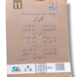 Students practicing Urdu using Cantab Super Economy Urdu 11 in classroom