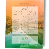 NBF English 6 Grammar and Vocabulary Pages
