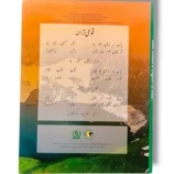 NBF English 7 Grammar and Vocabulary Pages