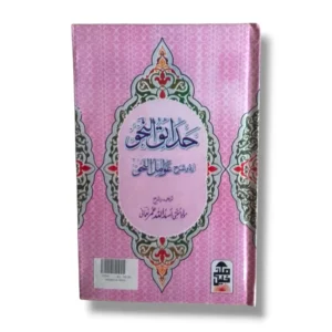 Hadaiq ul Naho Urdu Arabic Grammar Book Front Cover