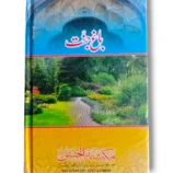 Inside pages of Bagh e Jannat Urdu book