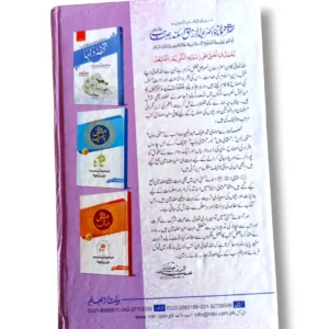 Tuhfa Dulhan Close-Up Design