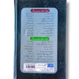 Gulistan e Saade Back Cover – Overview and Story Highlights