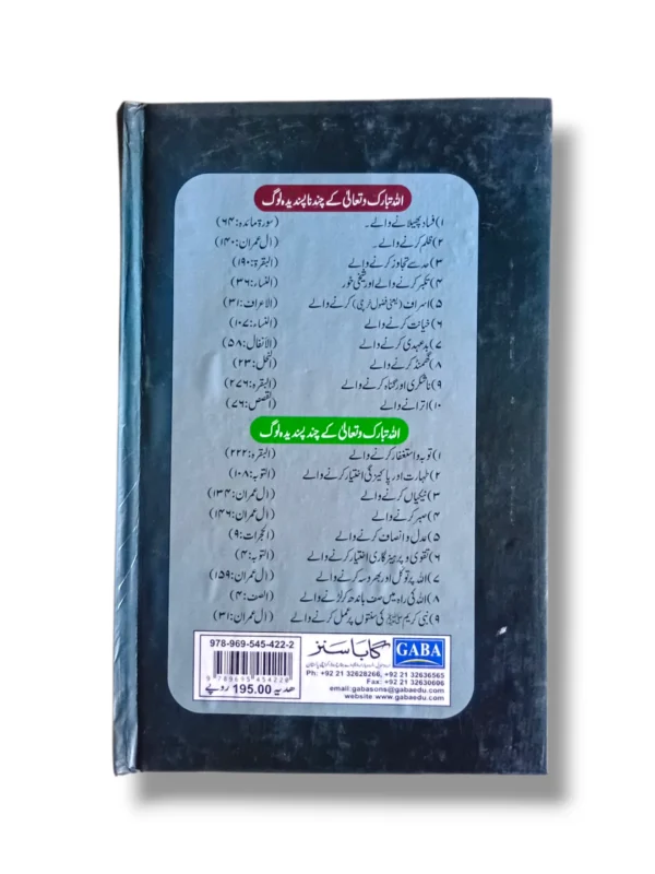 Gulistan e Saade Back Cover – Overview and Story Highlights