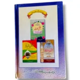 Book cover of Masail e Zakat