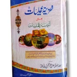 Book cover of Khazeena Amaliyat Yani Ayeena Amaliyat - Aik Jaiza