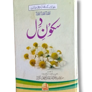 Cover of the romantic Urdu novel "Sakoon Dil: A Heart Finds Peace" displayed on a bookshelf.