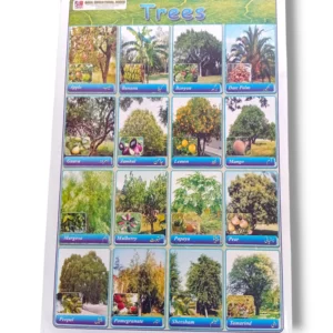 Trees chart showing different species and characteristics