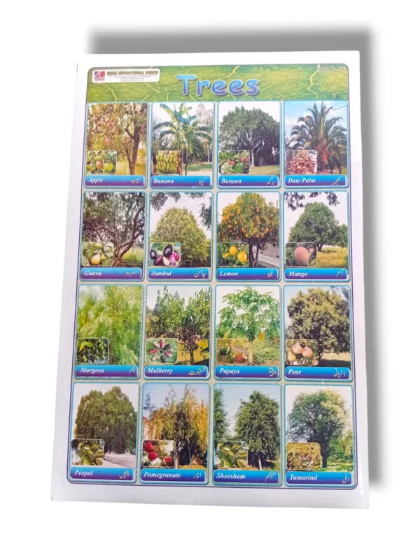 Trees chart showing different species and characteristics