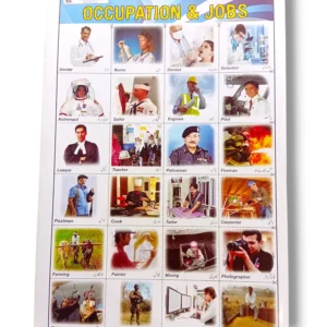 Occupation and Jobs Chart Illustrating Various Career Paths