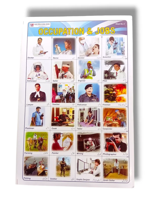 Occupation and Jobs Chart Illustrating Various Career Paths